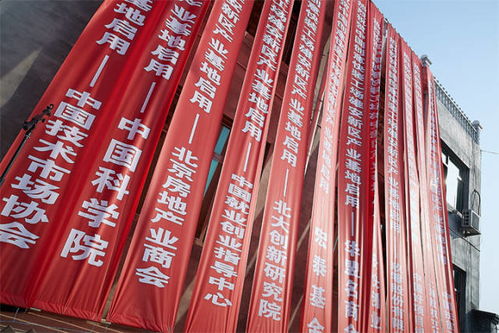 中国绿色环保建材基地落成 中国 宋庄创意工场功不可没
